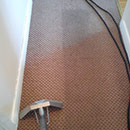 Carpet Cleaning of a Dirty Red Carpet in Essex